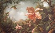 Martin Johnson Heade The Hummingbirds and Two Varieties of Orchids Spain oil painting artist